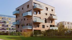 the woodcube